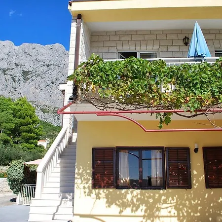Apartment Medusa